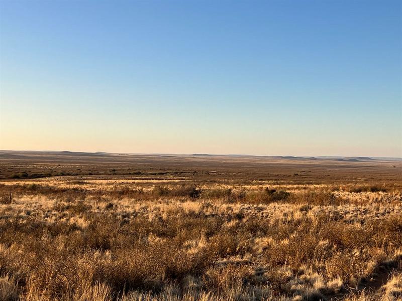 0 Bedroom Property for Sale in Prieska Northern Cape